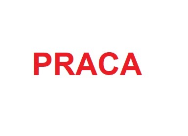 Sales Manager Automotive Aftermarket