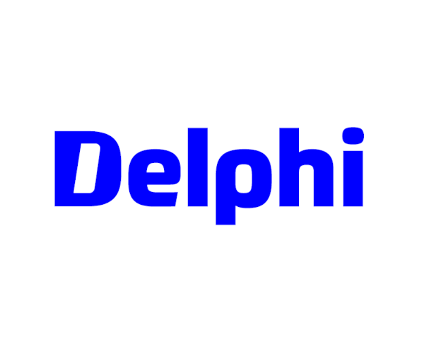 PHINIA Inc. – Category Manager