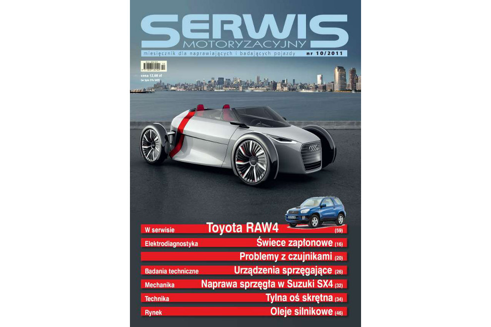 Oprogramowanie dla serwisów