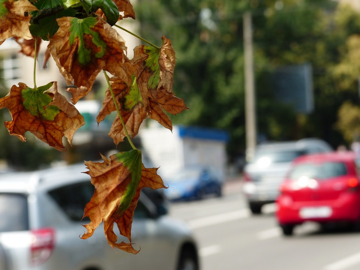 Jeden cel, różne drogi – technologia spalinowa może być przyjazna klimatowi
