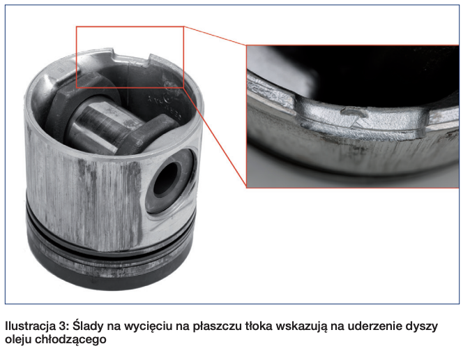 Zdjęcie 1 z 2