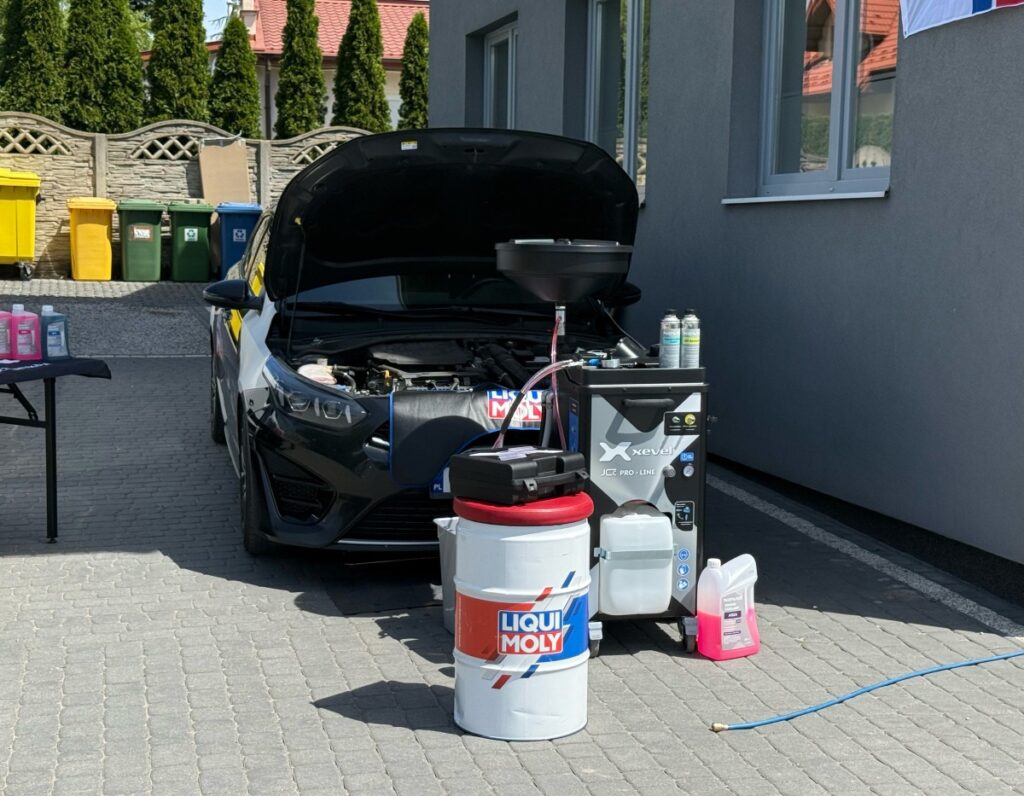Zdjęcie 1 z 16