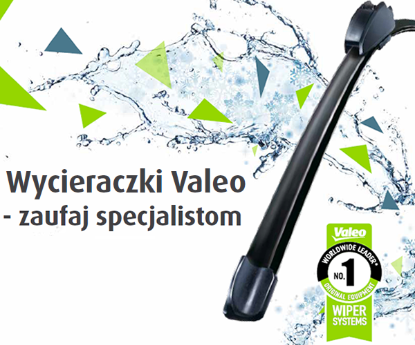 Konkurs Valeo – wyniki