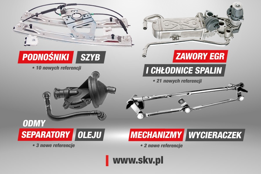 Lutowe nowości SKV