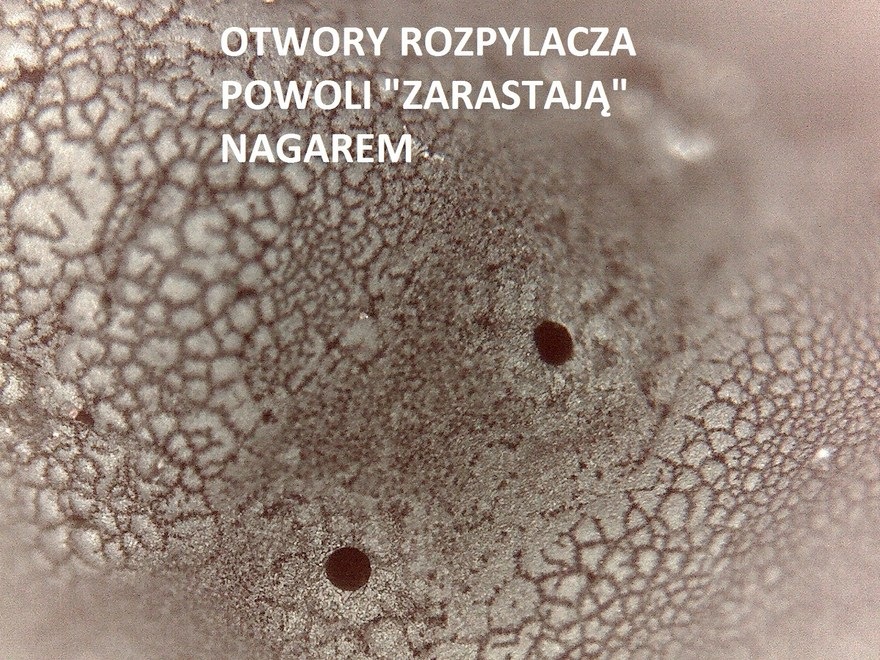 Zdjęcie 1 z 3