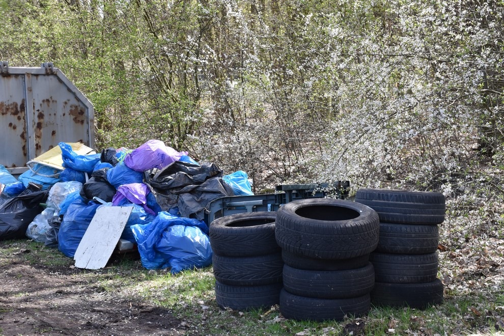 Do recyklingu zamiast do lasu – rusza kampania edukacyjna